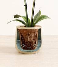 Load image into Gallery viewer, Almond Green stand:all
