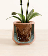 Load image into Gallery viewer, Calm Rose stand:all
