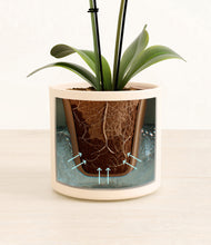 Load image into Gallery viewer, Cream stand:all
