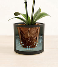 Load image into Gallery viewer, Black stand:all
