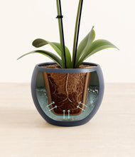 Load image into Gallery viewer, Deep Navy stand:all
