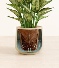 Load image into Gallery viewer, Almond Green stand:all
