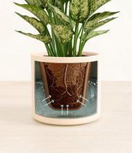 Load image into Gallery viewer, Cream stand:all
