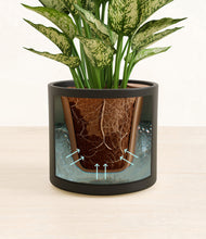 Load image into Gallery viewer, Black stand:all
