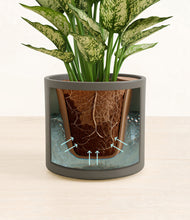 Load image into Gallery viewer, Dark Olive stand:all
