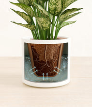 Load image into Gallery viewer, White stand:all
