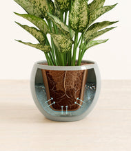 Load image into Gallery viewer, Deep Ocean stand:all
