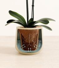 Load image into Gallery viewer, Almond Green stand:all
