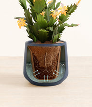 Load image into Gallery viewer, -Deep Navy stand:all
