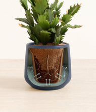 Load image into Gallery viewer, Deep Navy stand:all
