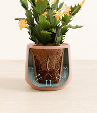 Load image into Gallery viewer, -Calm Rose stand:all
