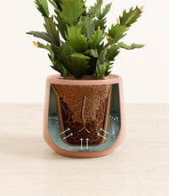 Load image into Gallery viewer, Calm Rose stand:all
