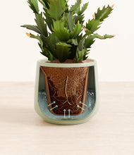 Load image into Gallery viewer, Turquoise stand:all
