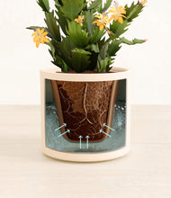 Load image into Gallery viewer, -Cream stand:all
