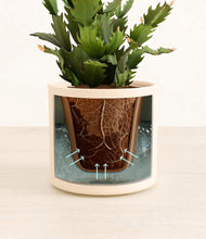 Load image into Gallery viewer, Cream stand:all
