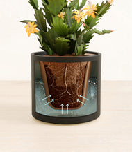 Load image into Gallery viewer, -Black stand:all
