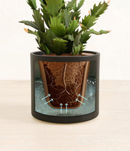 Load image into Gallery viewer, Black stand:all
