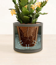 Load image into Gallery viewer, -Dark Olive stand:all
