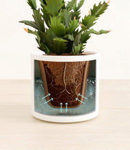 Load image into Gallery viewer, White stand:all
