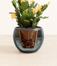 Load image into Gallery viewer, -Deep Navy stand:all
