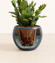 Load image into Gallery viewer, Deep Navy stand:all
