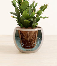 Load image into Gallery viewer, Desert Brown stand:all
