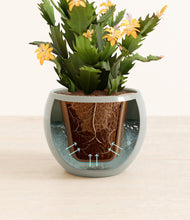 Load image into Gallery viewer, -Deep Ocean stand:all
