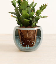 Load image into Gallery viewer, Deep Ocean stand:all
