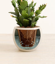 Load image into Gallery viewer, Shiny EggWhite stand:all
