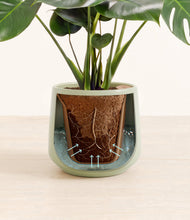 Load image into Gallery viewer, Turquoise stand:all
