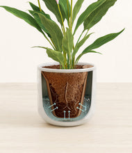 Load image into Gallery viewer, Hammered Ivory stand:all
