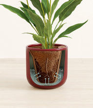 Load image into Gallery viewer, Striped Cherry Red stand:all
