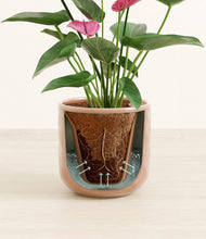 Load image into Gallery viewer, Hammered Peach Pink stand:all
