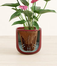 Load image into Gallery viewer, Striped Cherry Red stand:all
