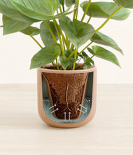 Load image into Gallery viewer, Striped Peach Pink stand:all
