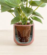 Load image into Gallery viewer, Hammered Rose Pink stand:all
