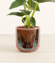 Load image into Gallery viewer, Hammered Rose Pink stand:all
