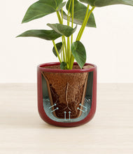 Load image into Gallery viewer, Striped Cherry Red stand:all
