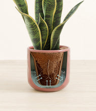 Load image into Gallery viewer, Hammered Rose Pink stand:all
