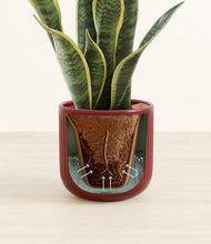 Load image into Gallery viewer, Striped Cherry Red stand:all
