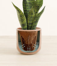 Load image into Gallery viewer, Hammered Peach Pink stand:all
