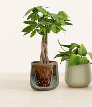 Load image into Gallery viewer, Earthy stand:all
