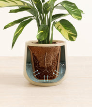 Load image into Gallery viewer, Almond Green stand:all
