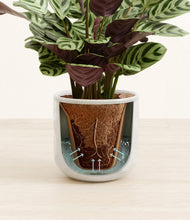 Load image into Gallery viewer, Hammered Ivory stand:all
