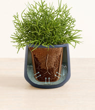 Load image into Gallery viewer, Deep Navy stand:all
