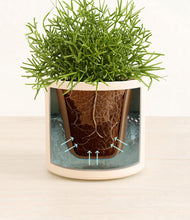 Load image into Gallery viewer, Cream stand:all
