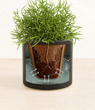 Load image into Gallery viewer, Black stand:all
