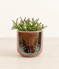 Load image into Gallery viewer, Hammered Rose Pink stand:all
