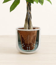 Load image into Gallery viewer, Hammered Ivory stand:all
