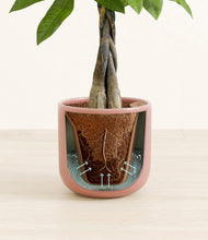 Load image into Gallery viewer, Striped Rose Pink stand:all
